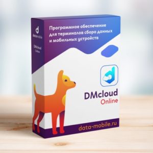 DMcloud DataMobile Online